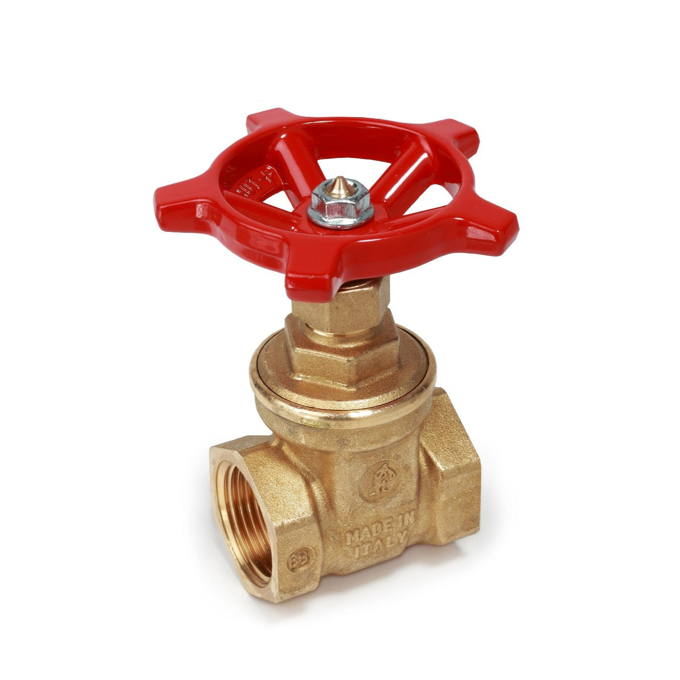 Սողնակ ներքին պարուրակով 4" Giacomini-R55Y012, 3/4" Giacomini-R55Y004, 2" Giacomini-R55Y008, 1" Giacomini-R55Y005, 1"1/4 Giacomini-R55Y006,1" 1/2 Giacomini-R55Y007,2" 1/2 Giacomini-R55Y009,4" Giacomini-R55Y012,3" Giacomini-R55Y010